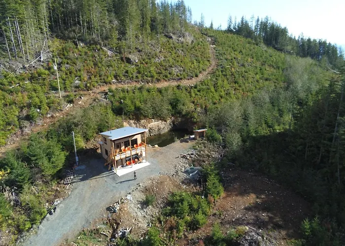 Funky Forest Bnb